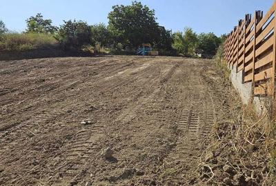 Spațiu comercial, în Vișan - 6