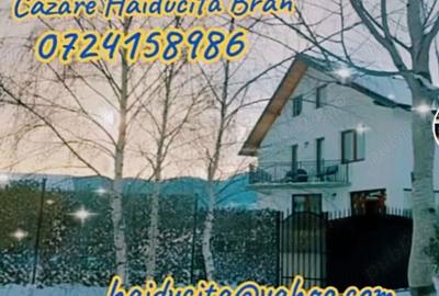 Casă cu 6 camere în Bran - 10