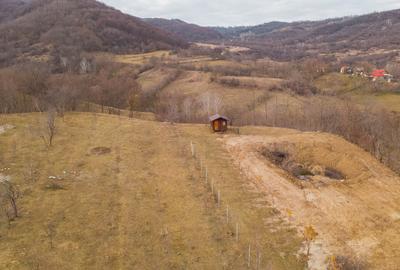 Teren cu suprafața de 5100mp amplasat într-o zonă superbă de munte - 3