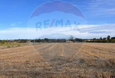 Teren intravilan de vanzare - 3