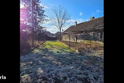 Casă cu 3 camere cu Teren 4041 Mp în Roșiori - 5