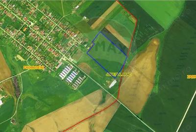 Teren extravilan Alunis-Arad. 92.700 mp Inchiriere pt parc fotovoltaic - 8