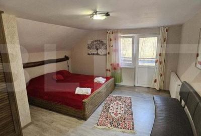 Casa in inima naturii, 140 mp la doar 15 minute de Hunedoara - 4