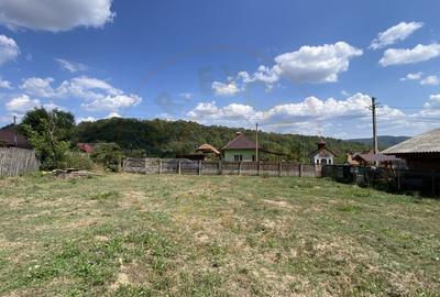 Teren 4000 mp intravilan loc. Aninoasa, jud Arges. Comision 0% - 2