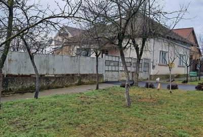 Casă cu 3 camere în Remetea Mare