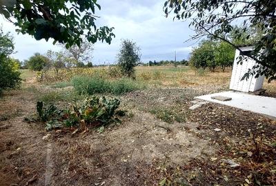 Dalga Sat, Com. Dor Marunt, jud. Calarasi Dalga Sat, Com. Dor Marunt, jud. Calarasi - 17