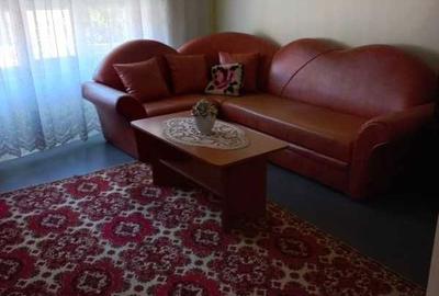 Casă cu 4 camere în Lăpușnicu Mare - 8