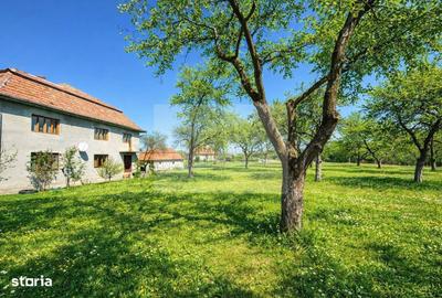 Casă cu 8 camere cu Teren 4851 Mp în Iara - 7