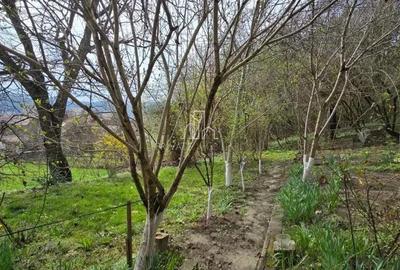 Casă cu 2 camere cu Teren 3080 Mp în Sighișoara - 8