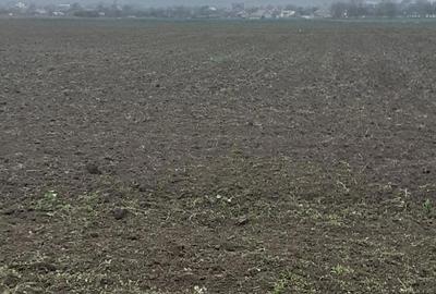 Teren de 5000 mp, în Central