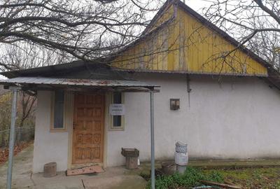 Casă cu 3 camere în Buhăiești - 8