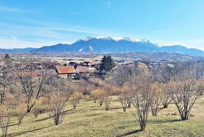 Teren Construcții extravilan de 17000 mp, în Tohanu Nou - 10