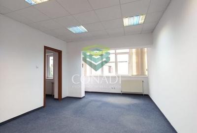 Birou de inchiriat // Domenii // Mihalache - 15