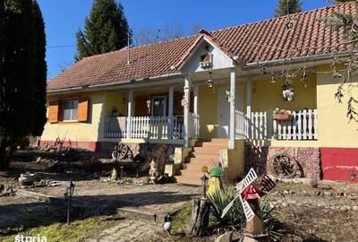 Casă cu 3 camere în Julița - 1