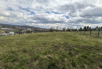 Teren de 980 mp, în Central - 3