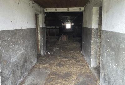 Teren de 28000 mp, în Tulgheș - 2