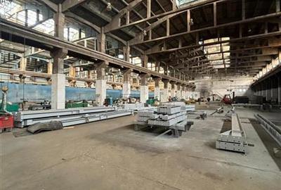 Spațiu industrial, de 17,500 mp, în Zona Liberă - 20