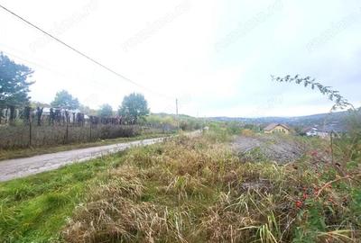 Teren de 774 mp, în Bârnova - 6