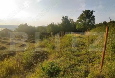 Teren intravilan de 15 ari Valea Jelnei, str. Campului - 2