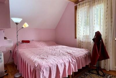 Casă cu 4 camere cu Teren 2985 Mp în Tarcău - 10