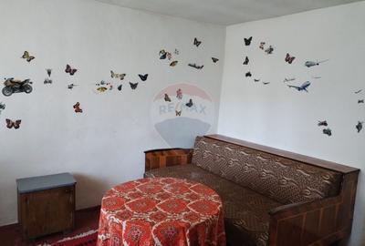 Casă individuală cu 4 camere cu Teren 3370 Mp în Central - 10