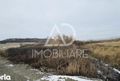 Teren de 1275 mp, în Turcinești - 4