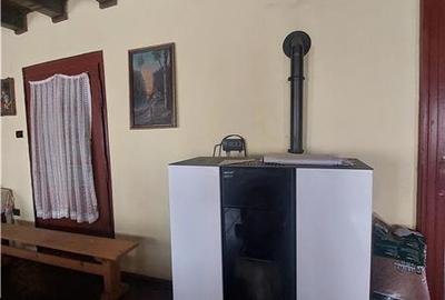 Casă individuală cu 14 camere cu Canalizare în Pișchia - 17