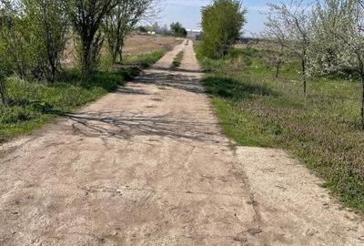 Teren Aeroport Clinceni - 6