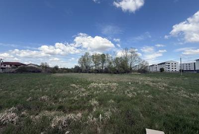 Teren Construcții intravilan de 64600 mp, în Giroc - 5