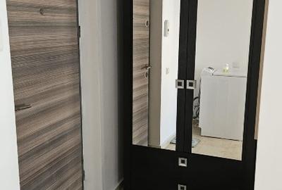 Garsonieră decomandată, mobilată în Roșu - 5