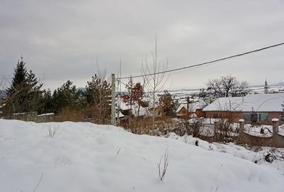 Teren Intravilan - Pretabil Dezvoltare Rezidentiala - 5