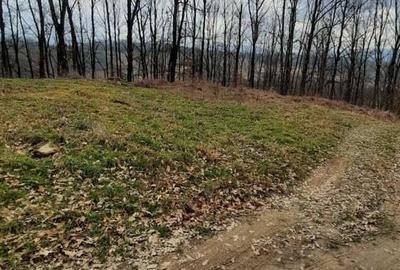 Teren de 1380 mp, în Central - 3