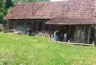 Casă cu 3 camere cu Teren 3200 Mp în Mihăileni - 1