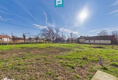 Casă cu 2 camere cu Teren 1753 Mp în Peregu Mare - 8