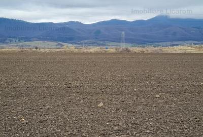 Teren Agricol 2,9 HA,intre Cristian si Vulcan/teren SPORT - 2