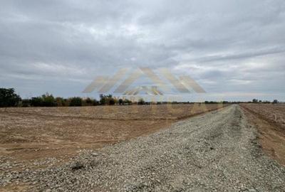 Teren Intravilan 500 mp, Vidra, ideal investitie - 2