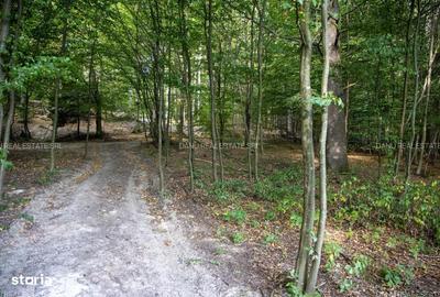 Spațiu comercial, în Vulcan - 7