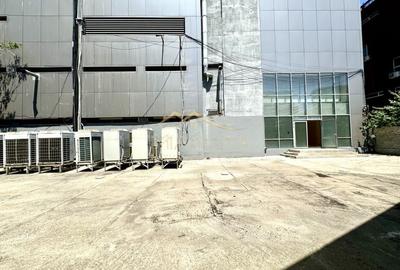 Spatiu comercial stradal *184mp* + curte *260mp* // Grozavesti - 14