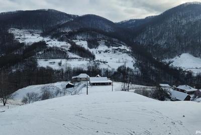 Casă în Remeți - 4