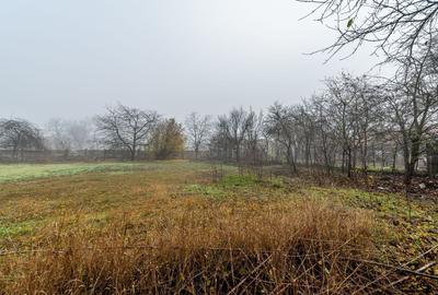 De vânzare Casă cu Grădină Generoasă in Dorobanți - 3