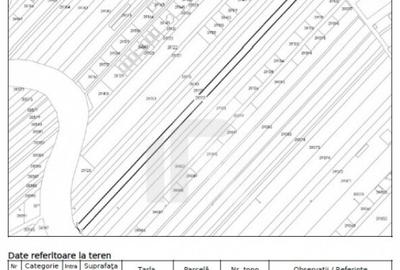 JOITA LOT 7344 MP - 6