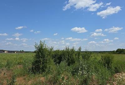 Teren Construcții intravilan de 7000 mp, în Snagov - 3