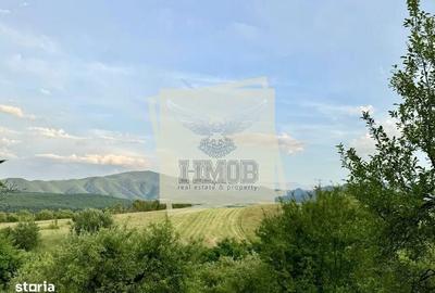 Spațiu comercial, în Șura Mare - 4