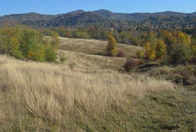 OFERTĂ SPECIALĂ! Teren intravilan de vânzare în Câmpina pe Dealul Muscel - 3