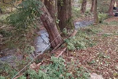 Vand teren cu casa BRATCA potential turistic!!! - 3