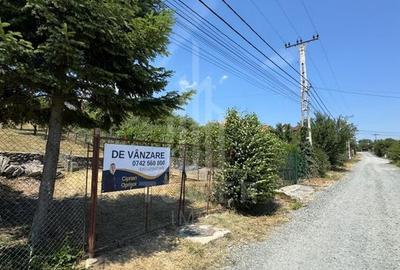 Casa cu 3 camere si teren | 111mp utili 450mp teren | Daia Noua | EXCLUSIVITATE - 3