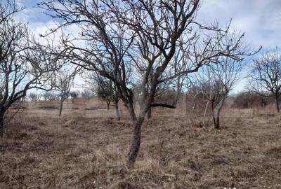 Teren de 6312 mp, în Central - 2