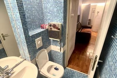 CISMIGIU SALA PALATULUI AP 2 CAM CU CENTRALA PROPRIE MOBILAT SI UTILAT COMPLET - 9