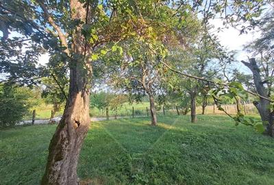 Casă de vânzare, 3 camere, langa manastirea Runc - 9