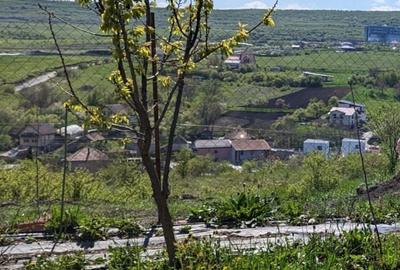 Casă cu 3 camere în Central
